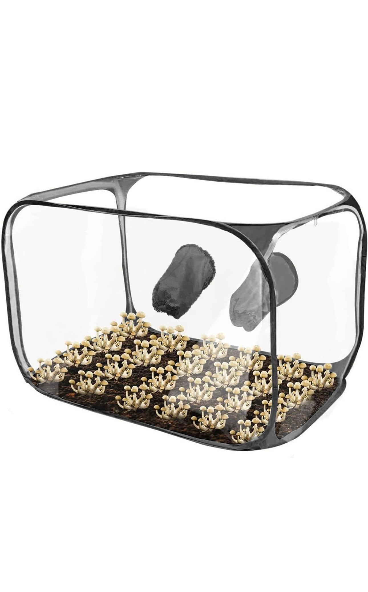 XXL - MushroomTec Still Air box - Mushroom Monotub Kit With Temp + Humidity