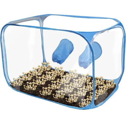 XXL - Still Air box - Mushroom Monotub Kit - Temp + Humidity gauge