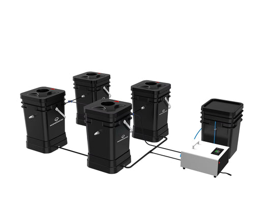 Four Bucket RDWC ProControl 20L Indoor Recirculating Hydroponic Aeroponics System with Integrated Timer and Fog Control