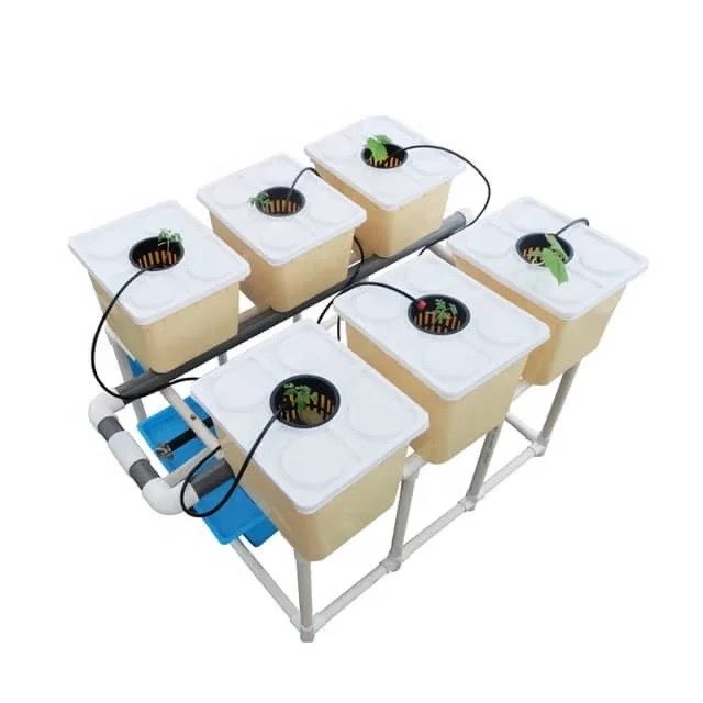 Six DWC Hydroponic Bucket System - 10Litre Buckets  With Pumps